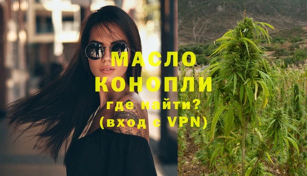 индика Беломорск