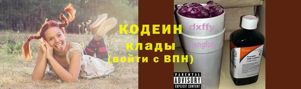 индика Беломорск