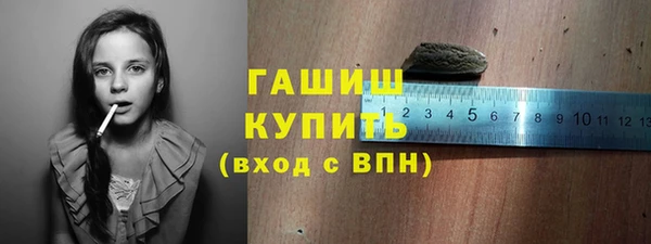 индика Беломорск