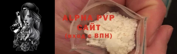 индика Беломорск