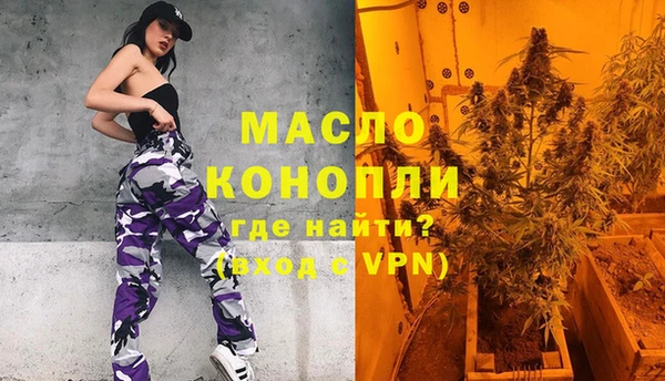 индика Беломорск