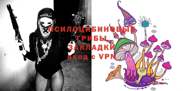 spice Белокуриха