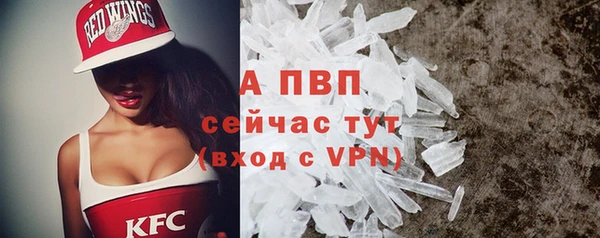 spice Белокуриха