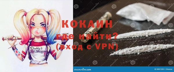 индика Беломорск